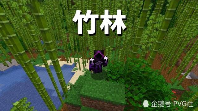 我的世界70个生态域中哪些最罕见 除了蘑菇岛 新地形概率也低 手机搜狐网