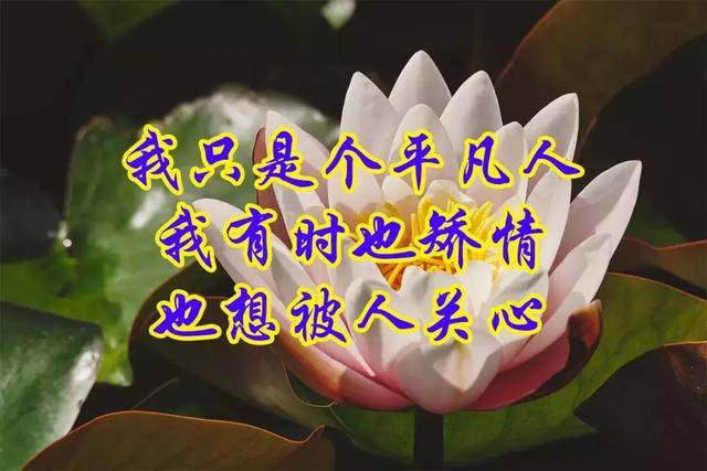 把心里话说一说把苦恼释放一下不可能逢人就说