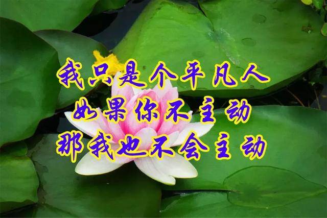 把心里话说一说把苦恼释放一下不可能逢人就说