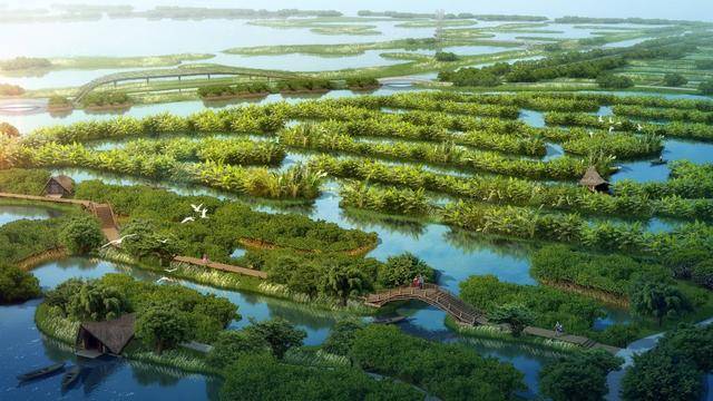 弹性减灾的绿色生态系统