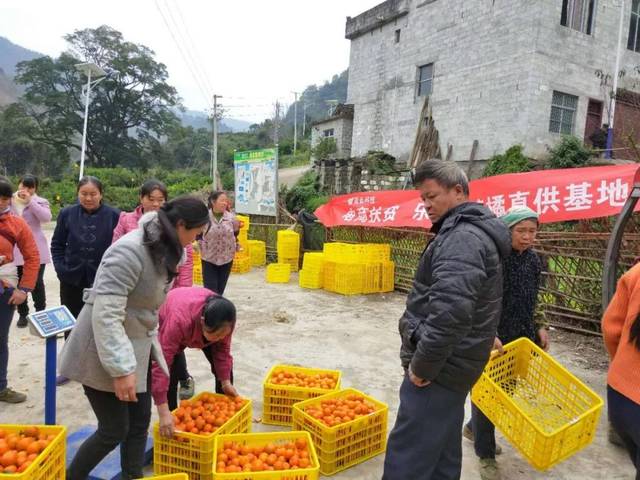 乐业县活动策划