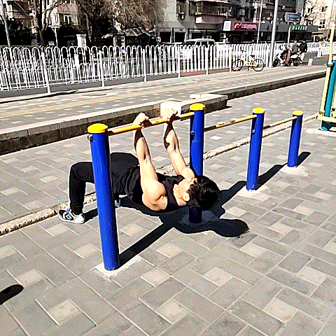 相对于反手引体向上,水平引体向上难度更低,适合初学者或辅助组训练.