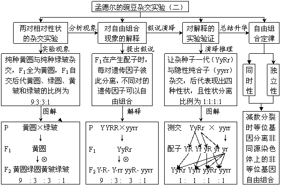 必修二第一,二两章概念图汇编,缕清思路好提分!