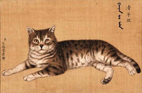 鹿晗X刘亦菲X胡歌日常撸猫大比拼,古人对猫更