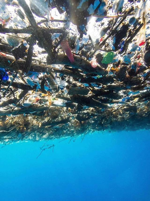 被污染的海洋 真实图片