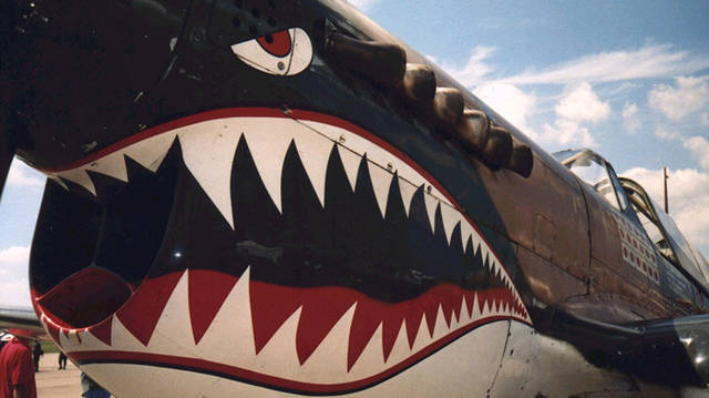 二战时中国人看到鲨鱼比较少,就以为这是老虎,就把这支部队叫做过"