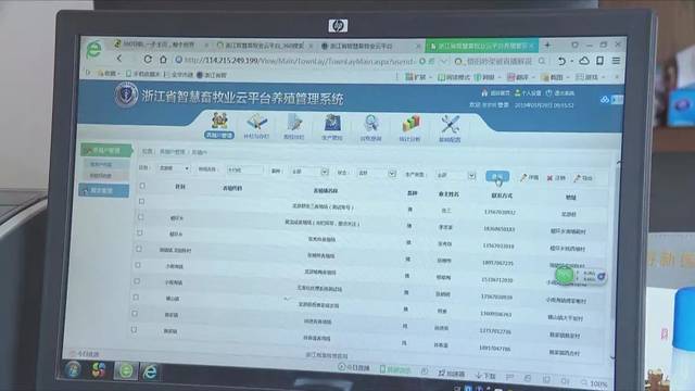 意外险:保障您的每一步旅程
