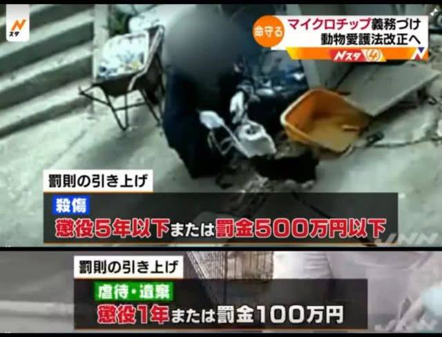 虐待者将被罚500万日元或有期徒刑4年!