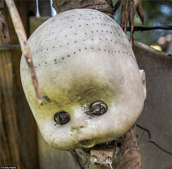 墨西哥鬼娃娃岛大白天能把人吓死你敢去吗