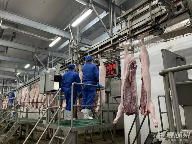 南浔猪肉