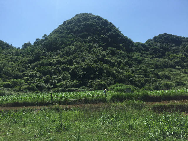 貴州貴陽風水寶地木星貴人穴,風水大師王君植燕村尋龍點穴看風水陰宅