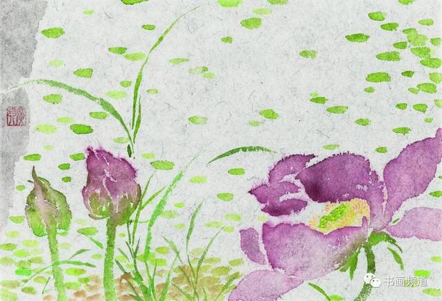 河上花系列——芙蓉(十一) 41 cmx43cm