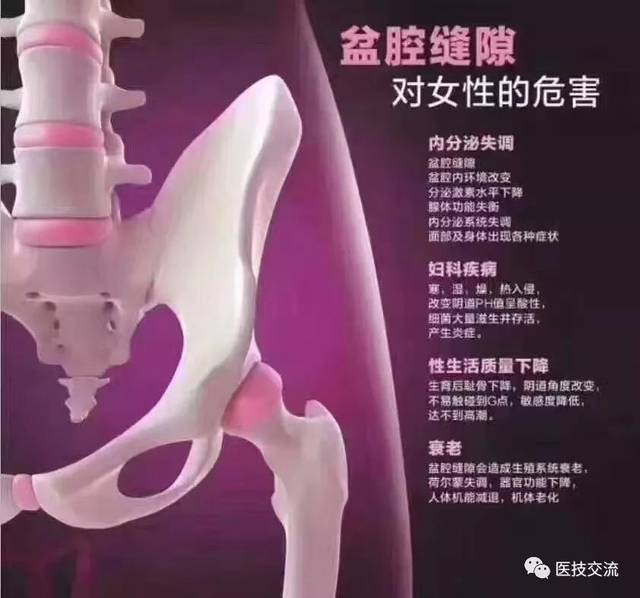 智能减肥新方式：从内而外焕发魅力