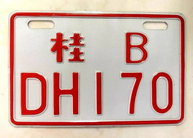 已经登记上牌的不符合新国标的电动自行车(包括白底红字的和绿底白字