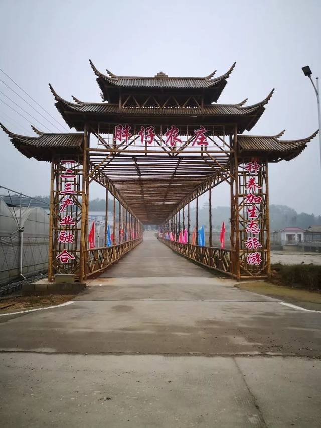 地址:长沙县金井镇石井村早禾元组 赏花:映山红,格桑花,硫华菊,百日草
