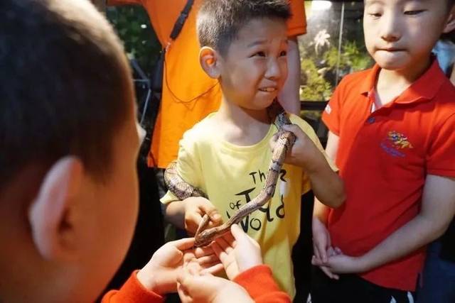 沌口附近的昆虫·萌宠馆,与3000+昆虫0距离接