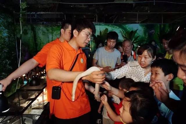 沌口附近的昆虫·萌宠馆,与3000+昆虫0距离接