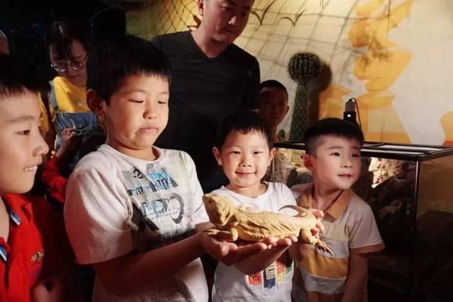 沌口附近的昆虫·萌宠馆,与3000+昆虫0距离接