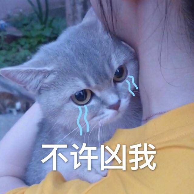 不许凶我