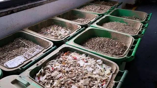 科普 | 垃圾分类权威图解来了!小龙虾、化妆品等