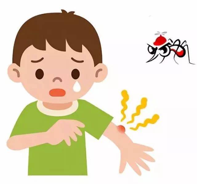 上海已正式步入蚊虫繁殖季……高效防蚊贴士收好不谢!