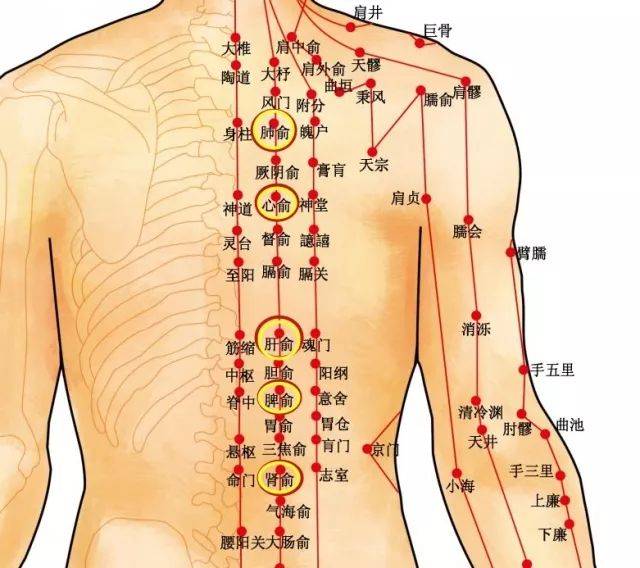 手机搜狐网