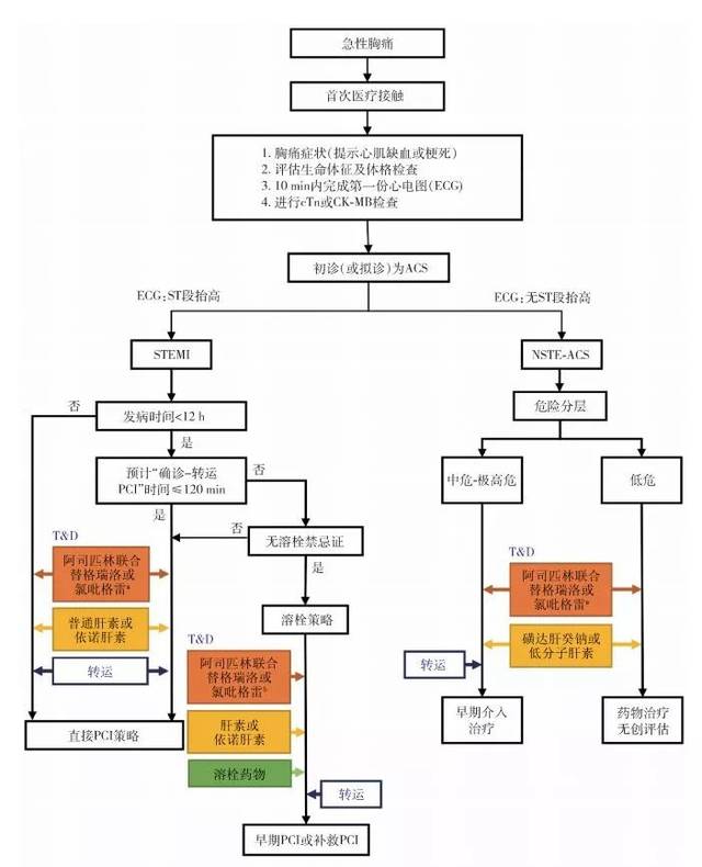 表1 acs的診斷標準acs包括st段抬高型心肌梗死(stemi),非st段抬高型