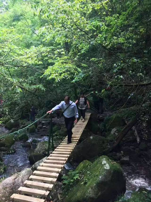 親近大自然,休閒,吸氧 神農谷探險 純玩二日遊