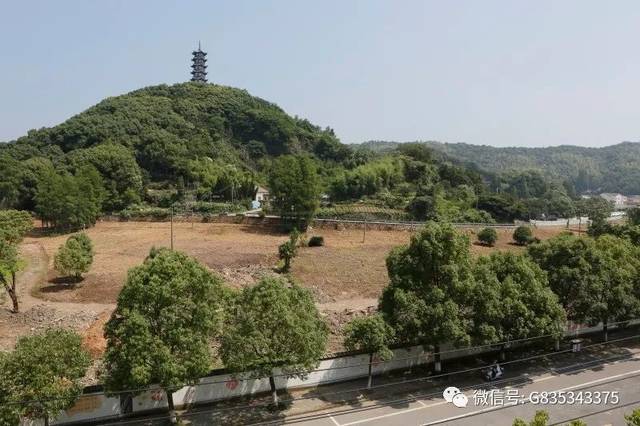 如今已回填的塔山遗址.吴伟峰 摄