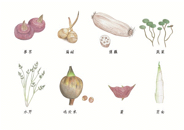 生活不止有眼前的苟且还有芙蓉塘外的诗和远方