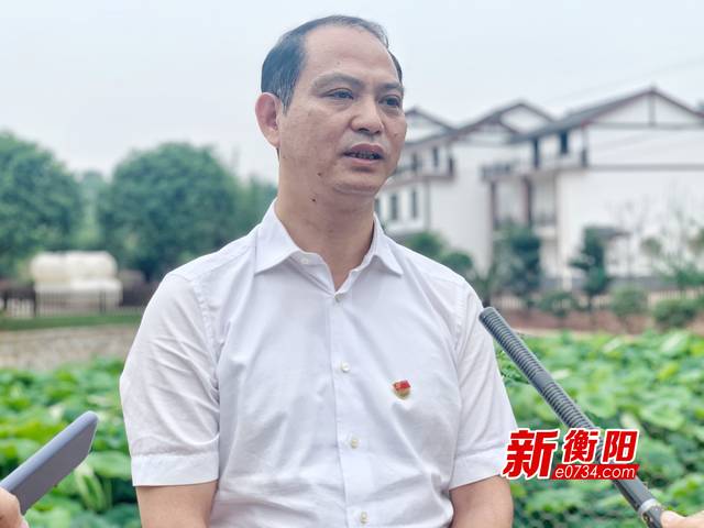 蒸湘区委书记周法清:打造农村人居环境整治"蒸湘经验"_手机搜狐网