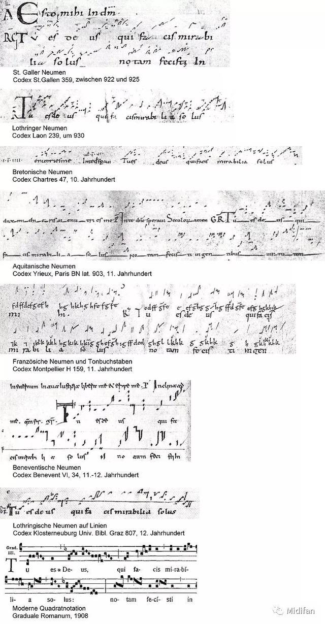 基础乐理和声从入门到出家01五线谱音符节拍调性和记谱法