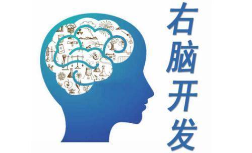 全脑开发：开启智慧之门