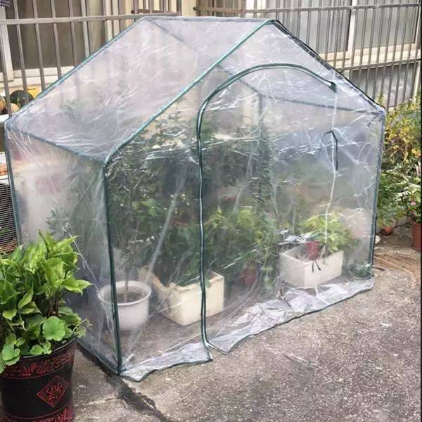 如果阳台上有个小温室,我可以变出你想要的花果蔬!