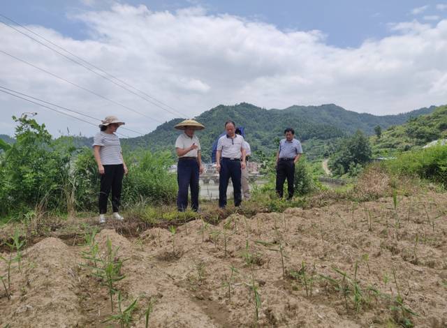 胡世和深入解放岩乡调研产业扶贫及城乡建设用地增减挂钩工作