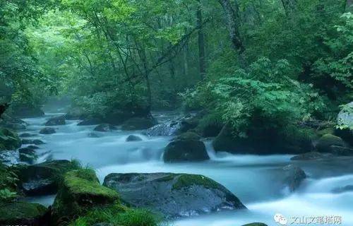 龚卿 文山州广电局图片