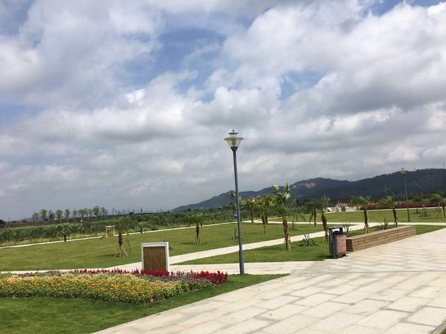 朱焦溼地公園紅樹林保護區三灶鎮濱河路