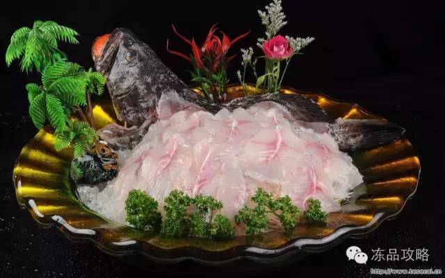 科普|这儿有关于石斑鱼的一切!