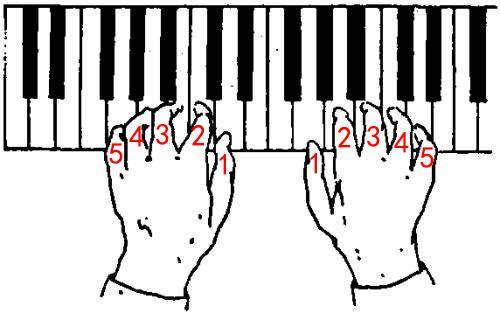 左手弹钢琴指法图片