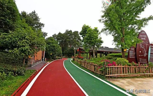 产业道,机耕道 游步道和河渠道等资源 构建"绿环" 形成了"茶海松林"的