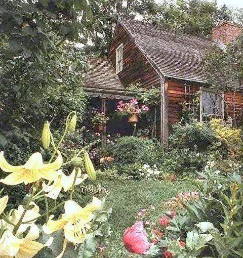 塔莎奶奶:过富足的心灵生活,然后优雅的老去