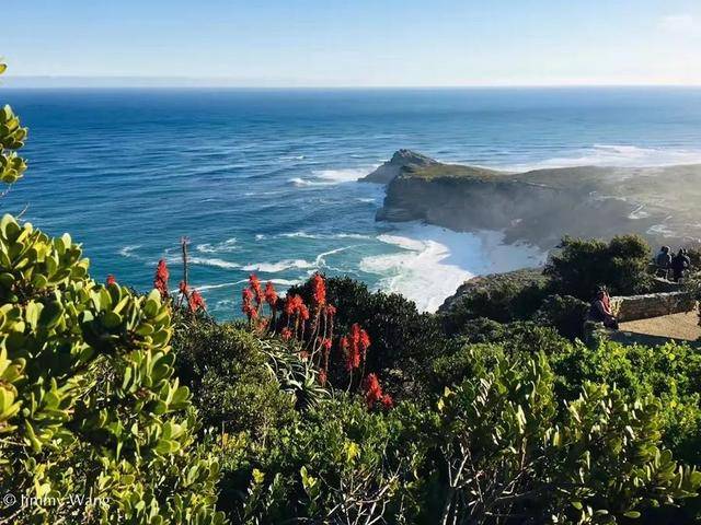 南部非洲直播 | 跟着团友Jimmy,探索马云、黄渤