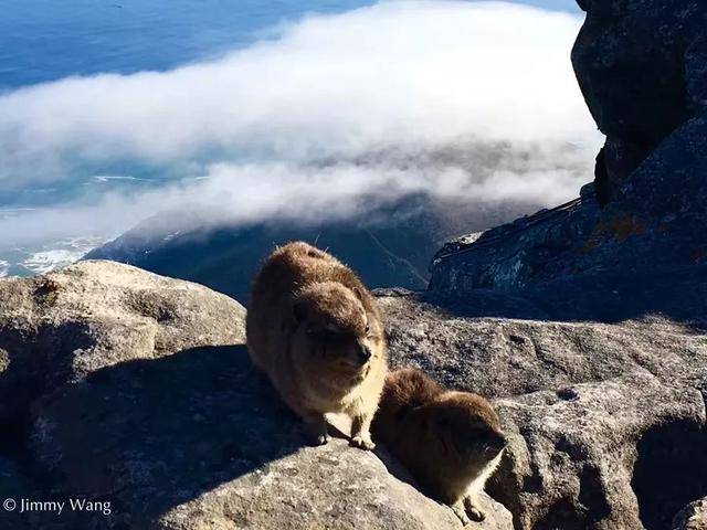 南部非洲直播 | 跟着团友Jimmy,探索马云、黄渤