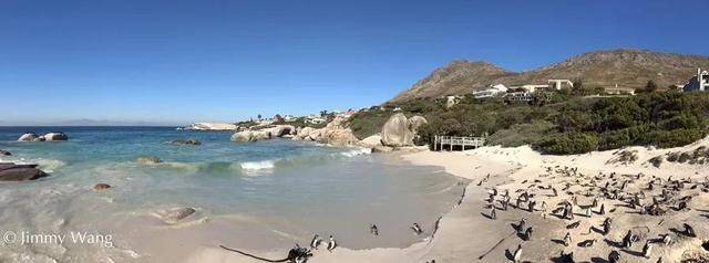 南部非洲直播 | 跟着团友Jimmy,探索马云、黄渤