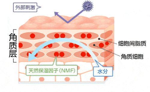不正当护肤行为损伤皮肤角质层是导致敏感的关键