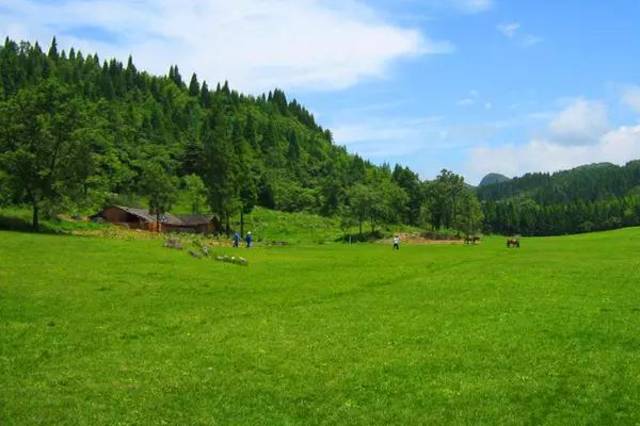 重庆竟藏着10个美丽大草原!最快1h彪拢!