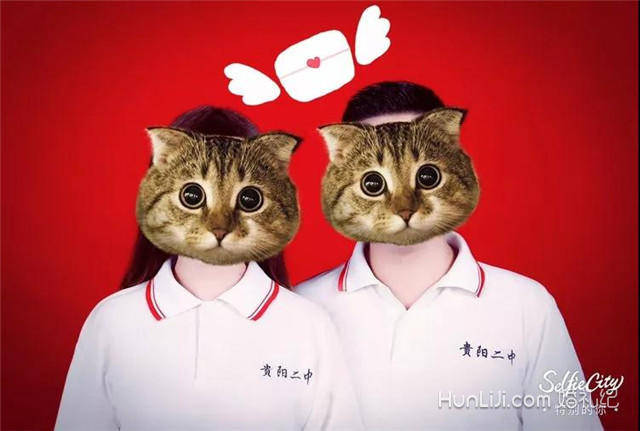 婚礼纪 |贾川晒出亲自给张若昀唐艺昕拍摄的结