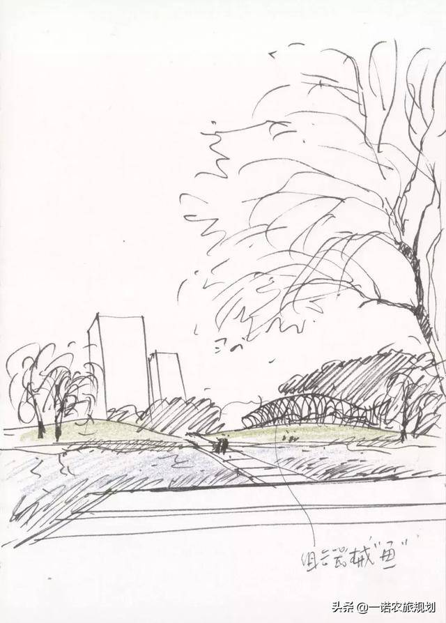 大鱼公园 dory park