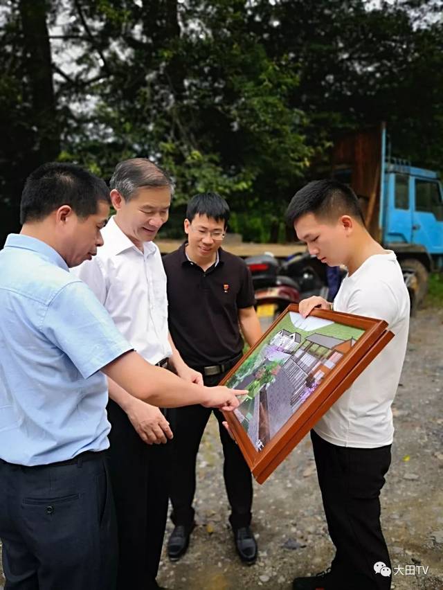 市委书记林兴禄深入大田调研