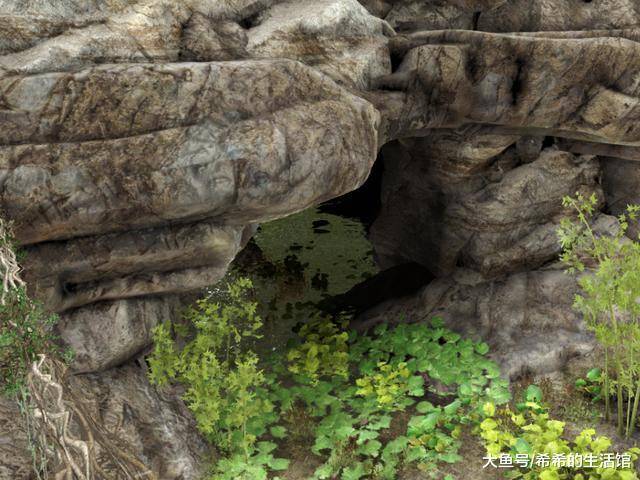 方舟:开启仙境boss需要的免疫、紫色狡诈神器